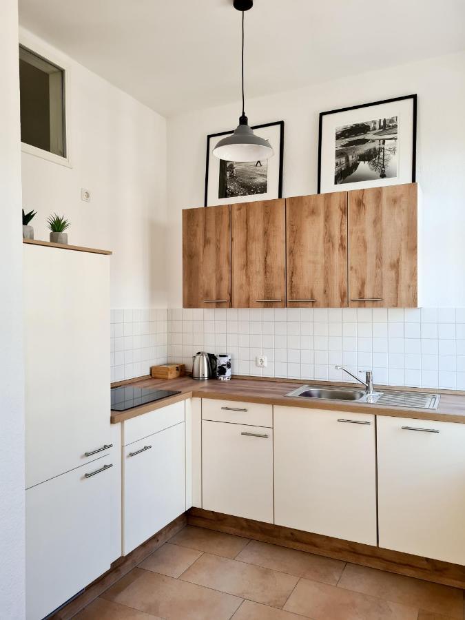 1-Raum-Wohnung Zentral Gelegen Dresden Exterior photo